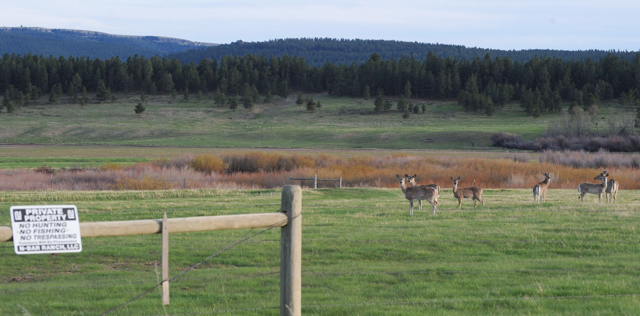 N-Bar Ranch